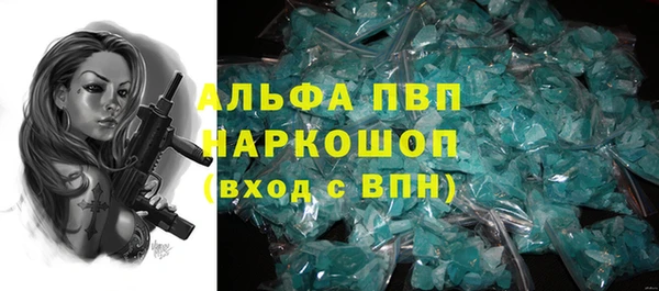 стаф Кодинск