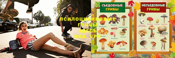 дживик Корсаков