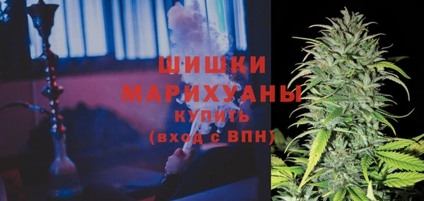 стаф Кодинск