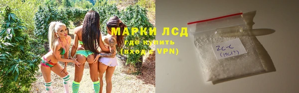стаф Кодинск