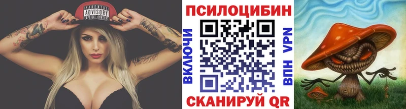 Псилоцибиновые грибы GOLDEN TEACHER Баксан