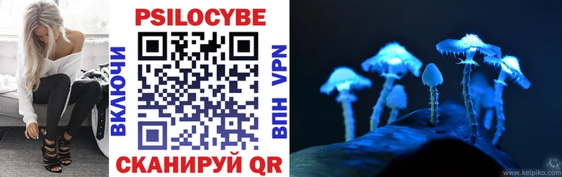Псилоцибиновые грибы MAGIC MUSHROOMS Купить где Баксан